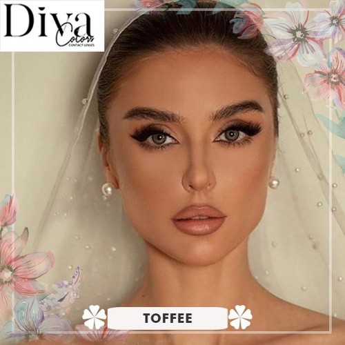 Diva Contact Lenses Toffee