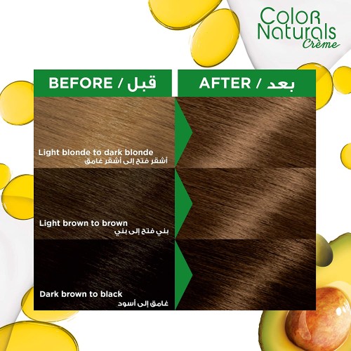 Garnier Hair Color Naturals Dark Ash Blonde 6.1
