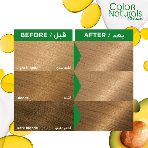 Garnier Hair Color Naturals Light Gray Blond 8.1